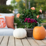 Fall Patio Ideas | DekTex | Madison, WI